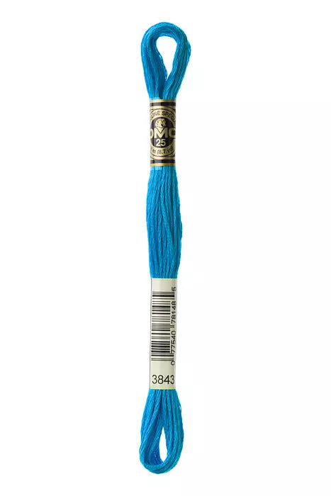 3843 DMC Six Strand Cotton Embroidery Floss