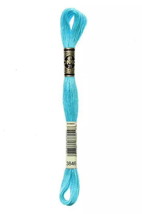 3846 DMC Six Strand Cotton Embroidery Floss