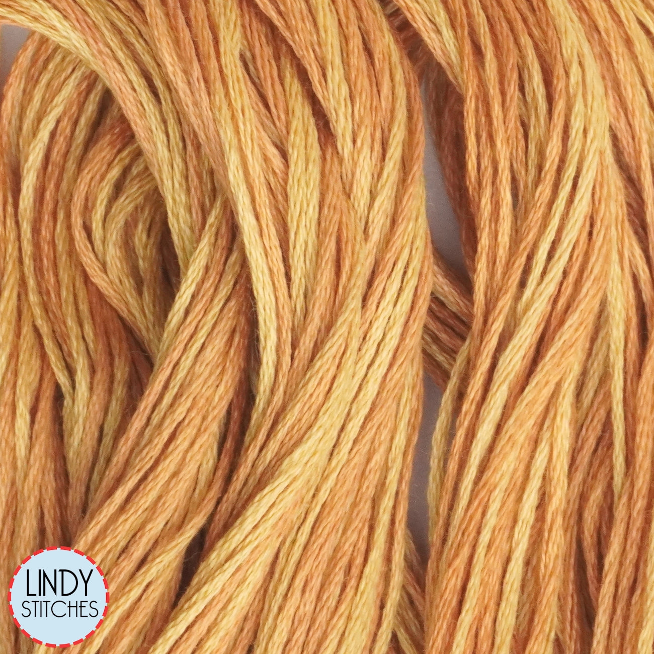 Amber Weeks Dye Works Floss Hand Dyed Cotton Skein 1224