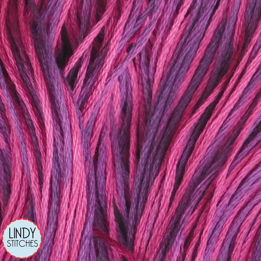 Blackberry Weeks Dye Works Floss Hand Dyed Cotton Skein 1329