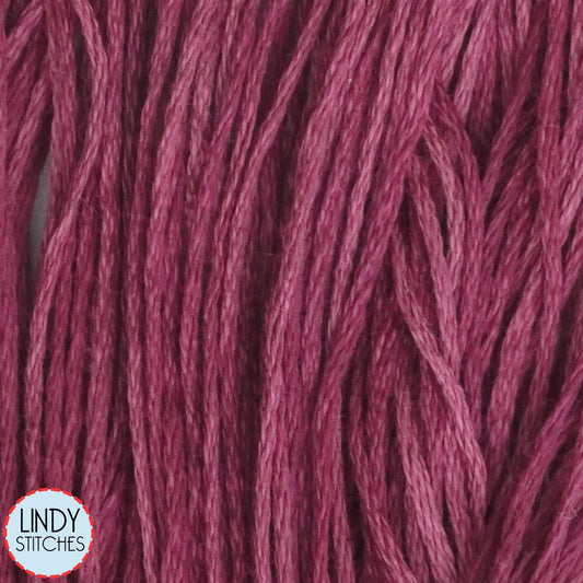 Boysenberry Weeks Dye Works Floss Hand Dyed Cotton Skein 1343