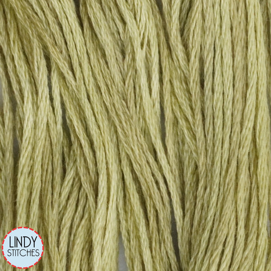 Broom Tree Weeks Dye Works Floss Hand Dyed Cotton Skein 1194