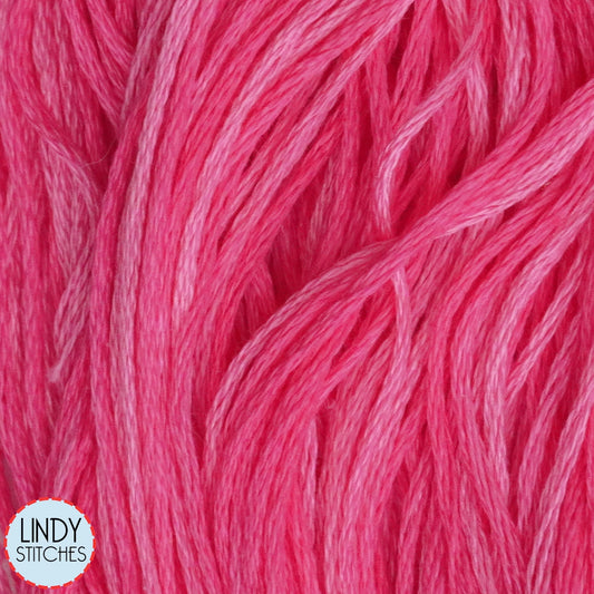 Bubble Gum Weeks Dye Works Floss Hand Dyed Cotton Skein 2275a