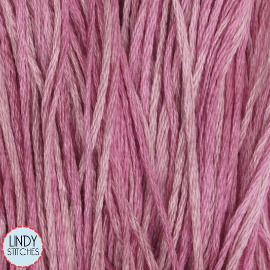 Busy Lizzie Weeks Dye Works Floss Hand Dyed Cotton Skein 2272