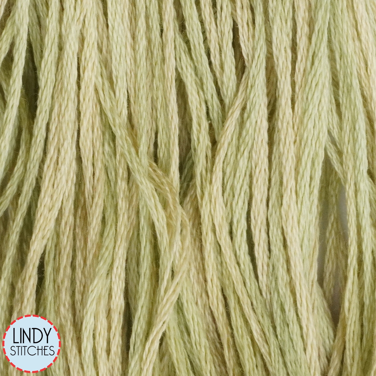 Butter Bean Weeks Dye Works Floss Hand Dyed Cotton Skein 1189