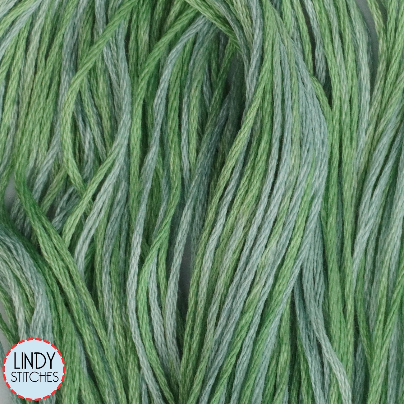 Cactus Weeks Dye Works Floss Hand Dyed Cotton Skein 2181