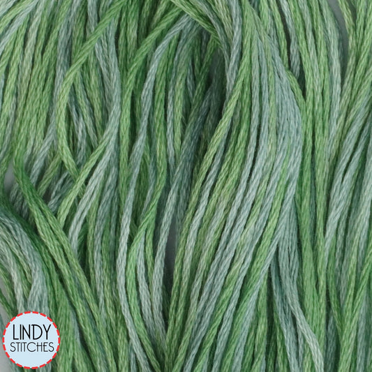 Cactus Weeks Dye Works Floss Hand Dyed Cotton Skein 2181