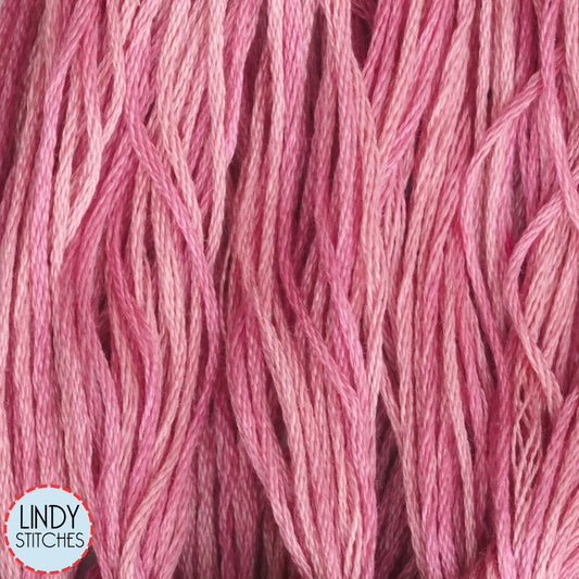 Camellia Weeks Dye Works Floss Hand Dyed Cotton Skein 2276