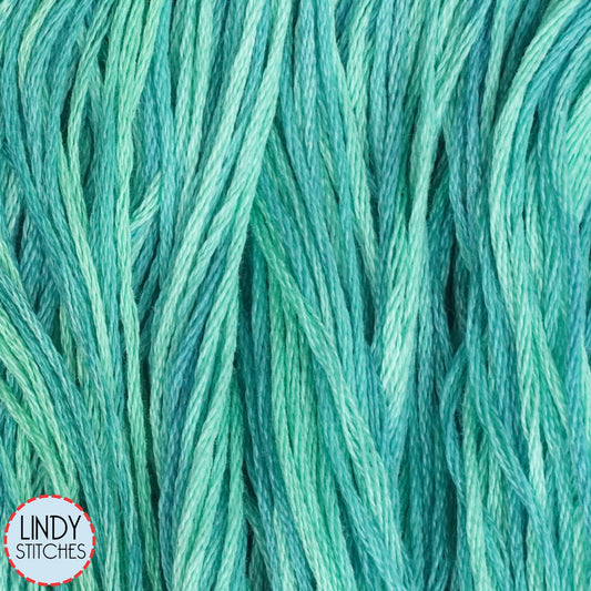 Caribbean Weeks Dye Works Floss Hand Dyed Cotton Skein 2136