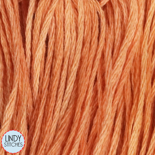 Carrot Weeks Dye Works Floss Hand Dyed Cotton Skein 2226