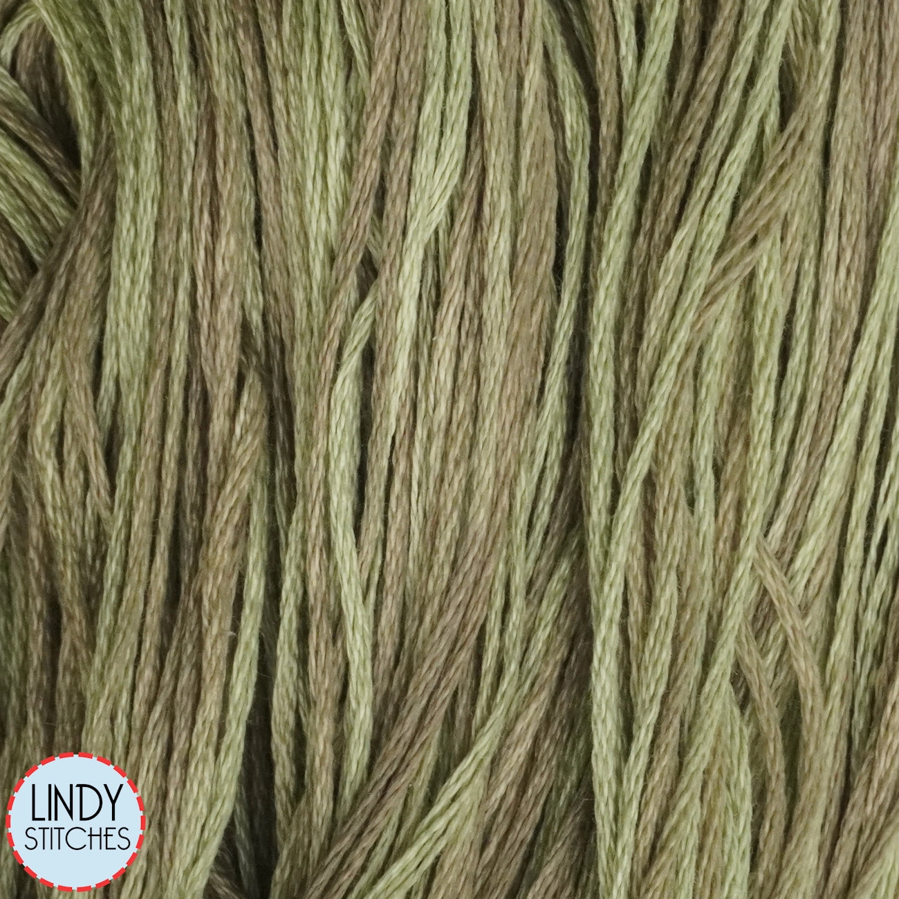 Celadon Weeks Dye Works Floss Hand Dyed Cotton Skein 1261