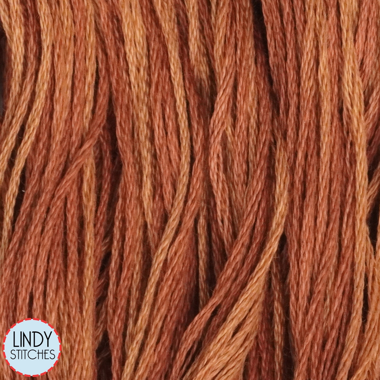 Cinnamon Twist Weeks Dye Works Floss Hand Dyed Cotton Skein 1228a