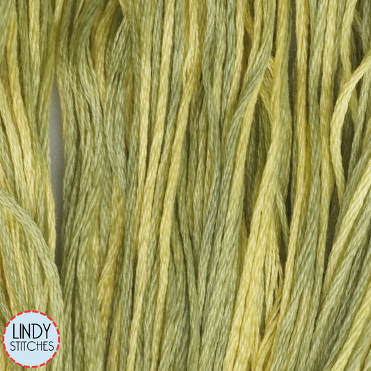 Citronella Weeks Dye Works Floss Hand Dyed Cotton Skein 2210