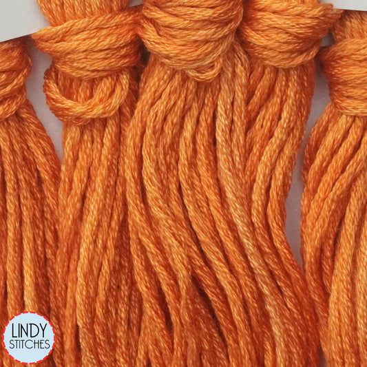 Carrot Cake Belle Soie Classic Colorworks 12 Strand Hand-Dyed Silk Floss