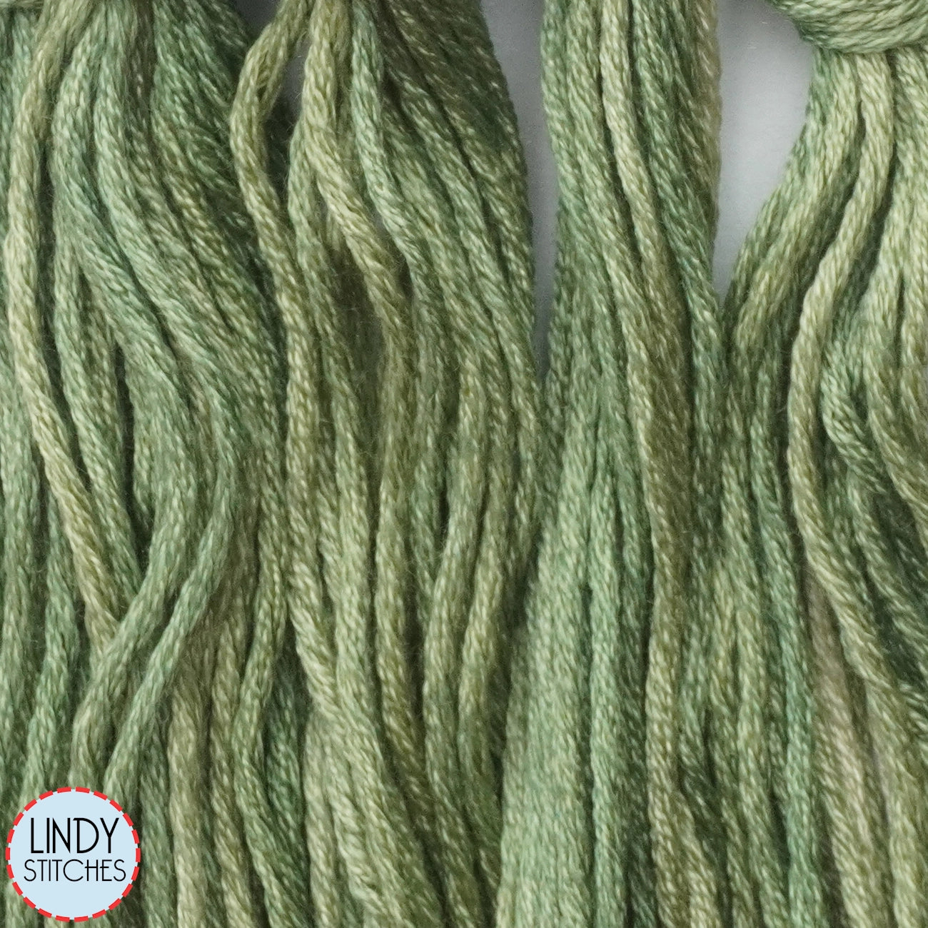 Fern Frond Belle Soie Classic Colorworks 12 Strand Hand-Dyed Silk Floss
