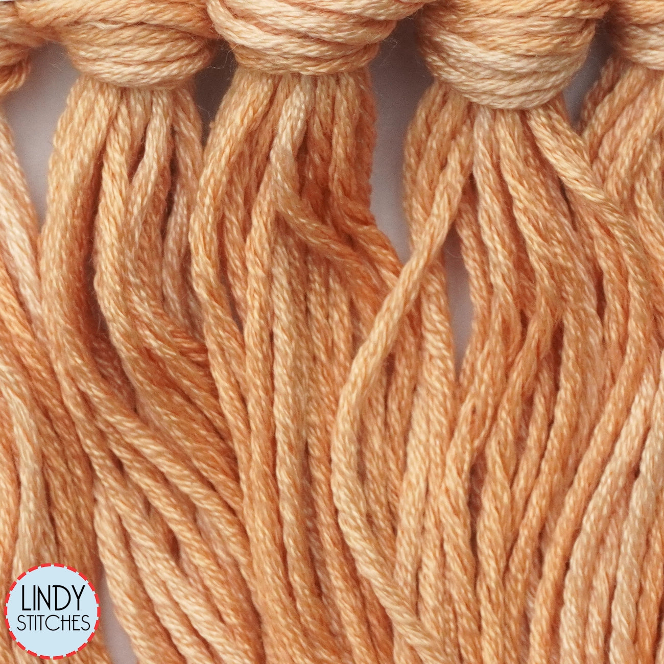 Apricot Belle Soie Classic Colorworks 12 Strand Hand-Dyed Silk Floss