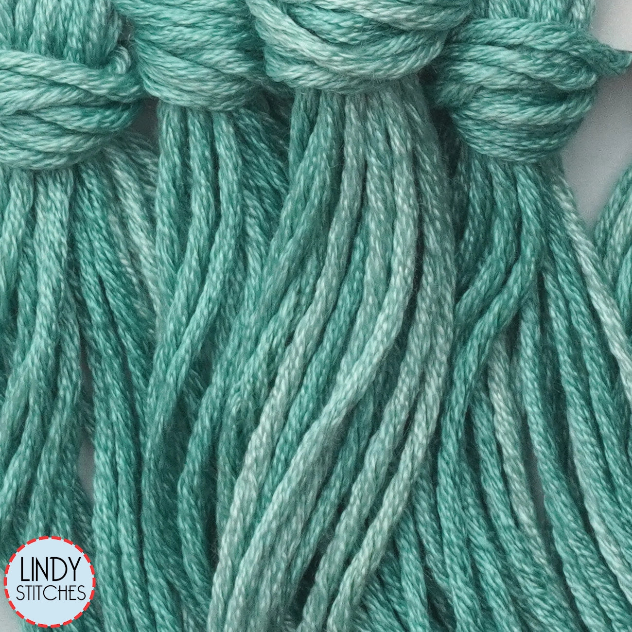 Cool Mint Belle Soie Classic Colorworks 12 Strand Hand-Dyed Silk Floss