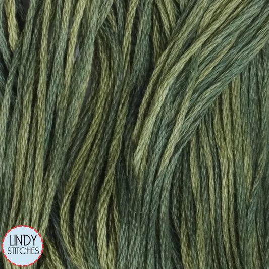 Collards Weeks Dye Works Floss Hand Dyed Cotton Skein 1277