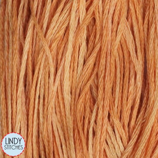 Daylily Weeks Dye Works Floss Hand Dyed Cotton Skein 2227