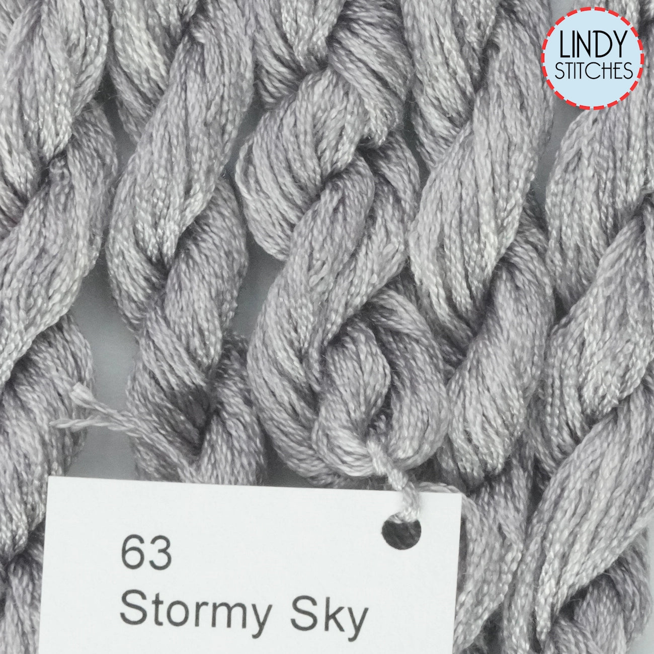 Stormy Sky Dinky Dye's Silk Floss 63