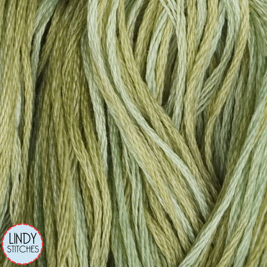 Dried Sage Weeks Dye Works Floss Hand Dyed Cotton Skein 1191