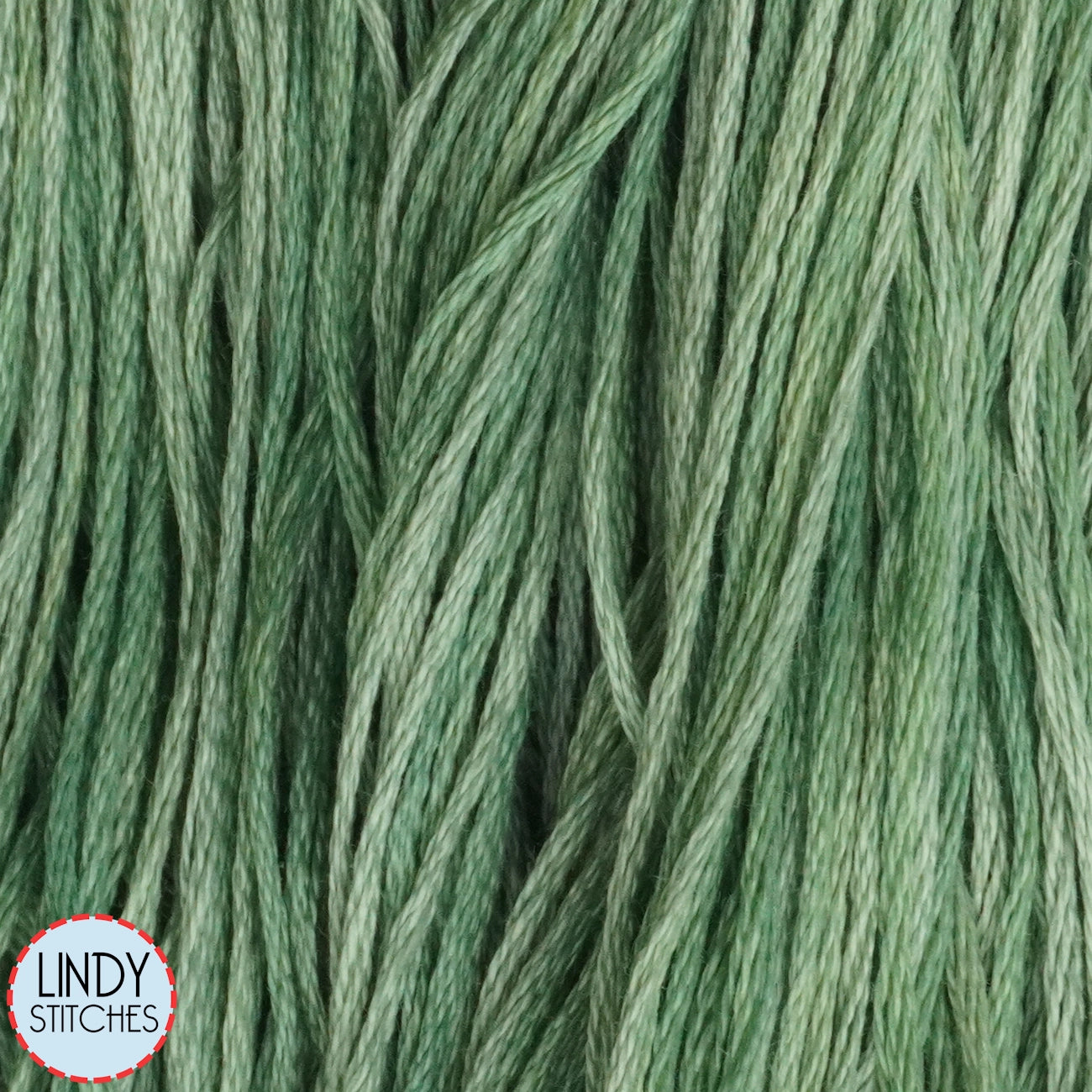 Emerald Weeks Dye Works Floss Hand Dyed Cotton Skein 2171