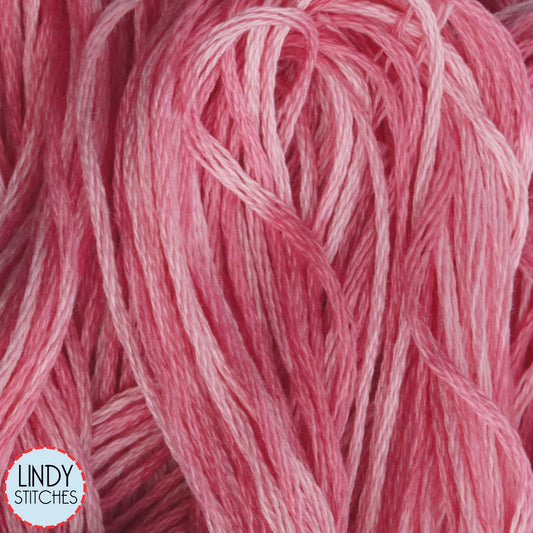 Emma's Pink Weeks Dye Works Floss Hand Dyed Cotton Skein 2280