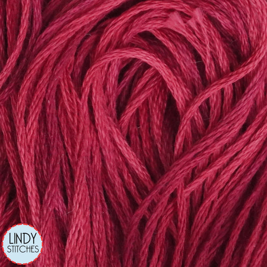 Garnet Weeks Dye Works Floss Hand Dyed Cotton Skein 2264