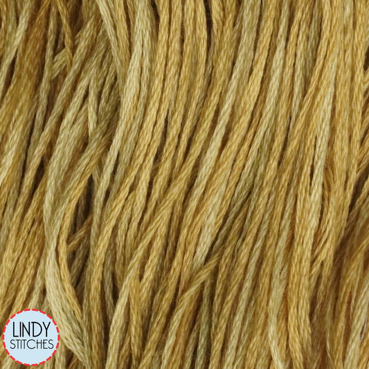 Gold Weeks Dye Works Floss Hand Dyed Cotton Skein 2221