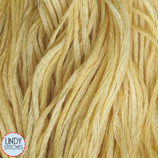 Goldenrod Weeks Dye Works Floss Hand Dyed Cotton Skein 1118