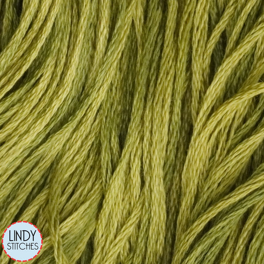 Grasshopper Weeks Dye Works Floss Hand Dyed Cotton Skein 2205