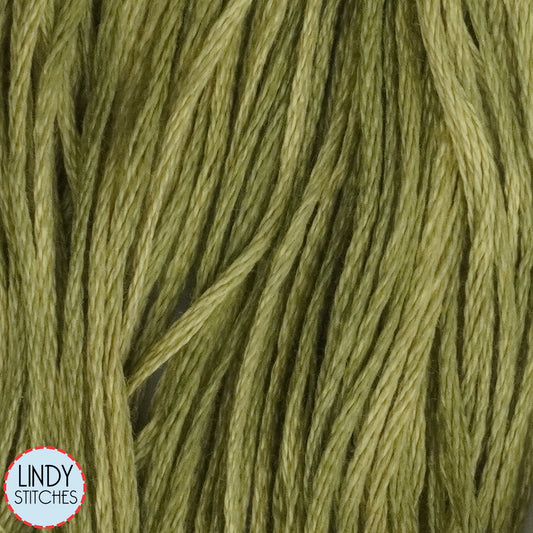 Guacamole Weeks Dye Works Floss Hand Dyed Cotton Skein 1193