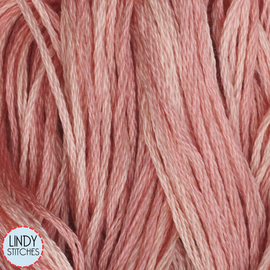 Hibiscus Weeks Dye Works Floss Hand Dyed Cotton Skein 2278