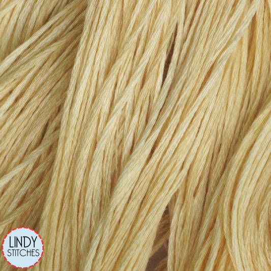 Honeysuckle Weeks Dye Works Floss Hand Dyed Cotton Skein 1108