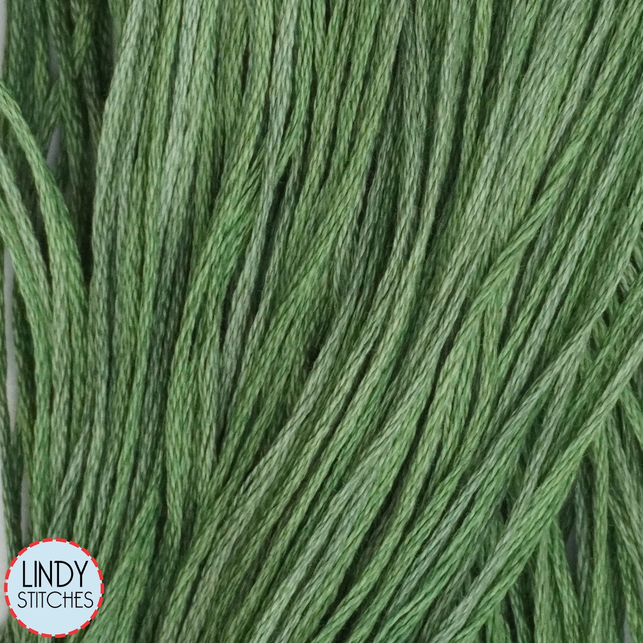 Hunter Weeks Dye Works Floss Hand Dyed Cotton Skein 2156