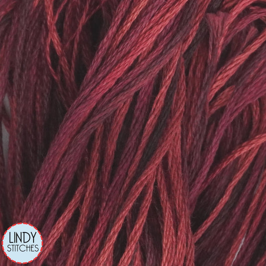 Indian Summer Weeks Dye Works Floss Hand Dyed Cotton Skein 4121