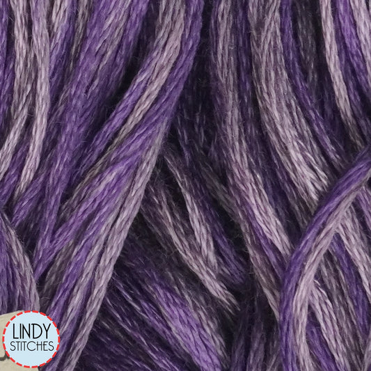 Iris Weeks Dye Works Floss Hand Dyed Cotton Skein 2316