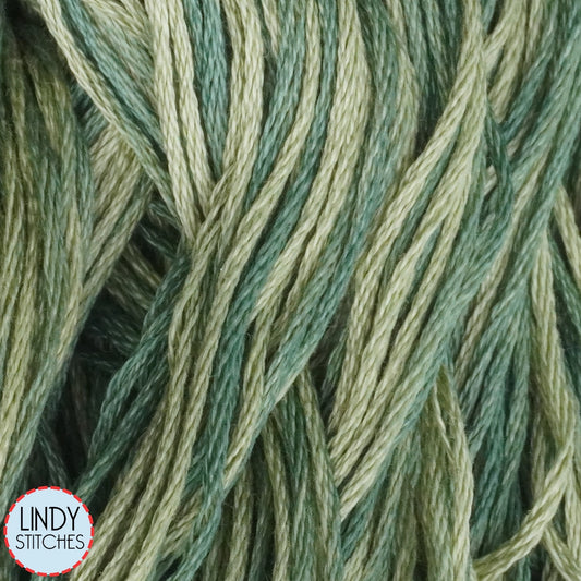 Ivy Weeks Dye Works Floss Hand Dyed Cotton Skein 2198