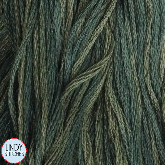 Juniper Weeks Dye Works Floss Hand Dyed Cotton Skein 2158