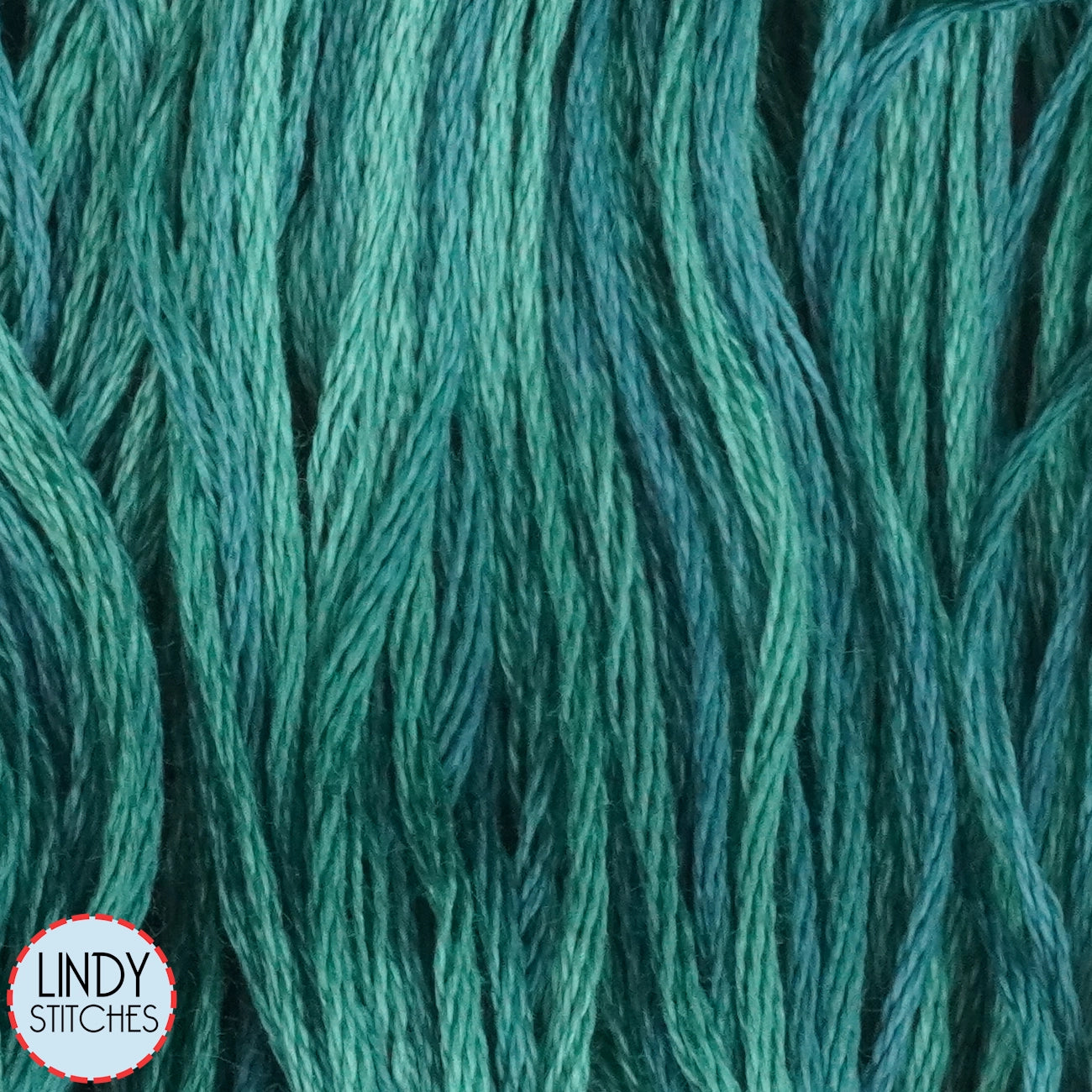 Kentucky Bluegrass Weeks Dye Works Floss Hand Dyed Cotton Skein 2152