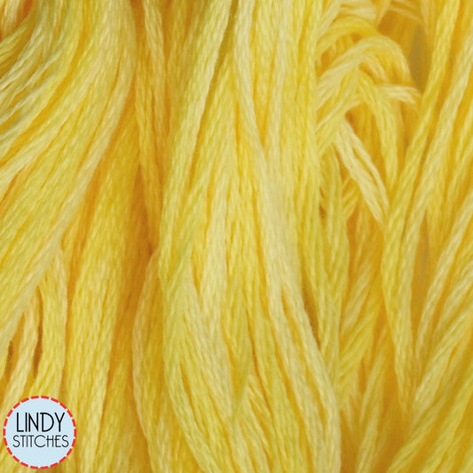 Lemon Chiffon Weeks Dye Works Floss Hand Dyed Cotton Skein 2217