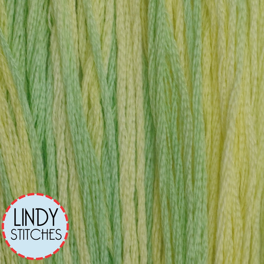 Lemon Lime Classic Colorworks Floss Hand Dyed Cotton Skein