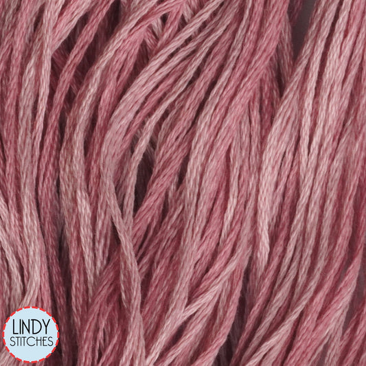 Madison Rose Weeks Dye Works Floss Hand Dyed Cotton Skein 2284