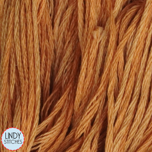 Marmalade Weeks Dye Works Floss Hand Dyed Cotton Skein 2225a