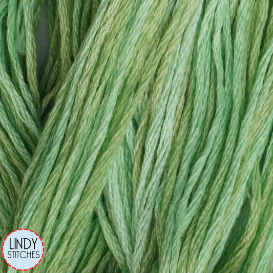 Meadow Weeks Dye Works Floss Hand Dyed Cotton Skein 2176