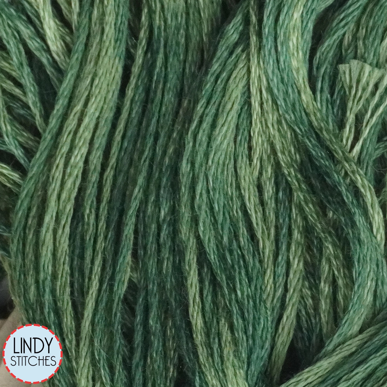 Monkey Grass Weeks Dye Works Floss Hand Dyed Cotton Skein 2168