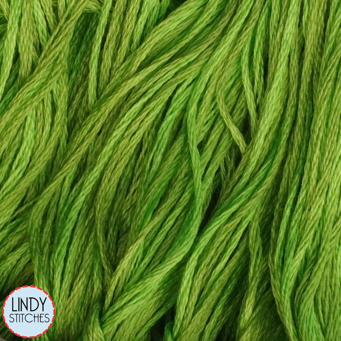 Paris Green Weeks Dye Works Floss Hand Dyed Cotton Skein 2204a