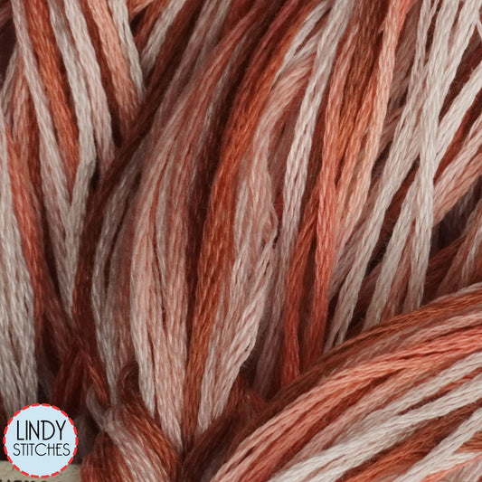 Peach Cobbler Weeks Dye Works Floss Hand Dyed Cotton Skein 4151