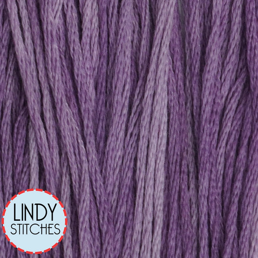 Plum Paisley Classic Colorworks Floss Hand Dyed Cotton Skein