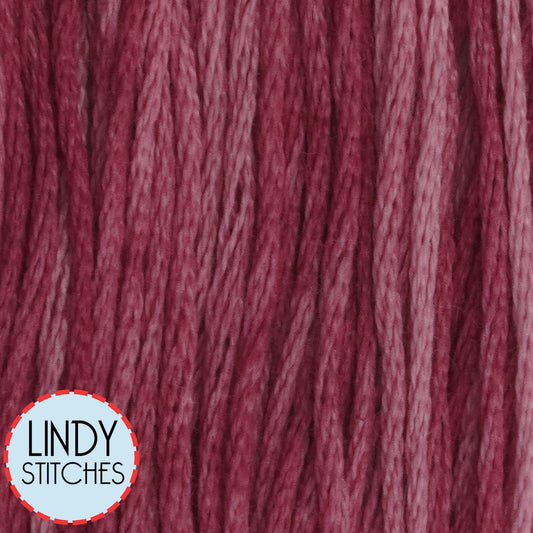 Prickly Pear Classic Colorworks Floss Hand Dyed Cotton Skein